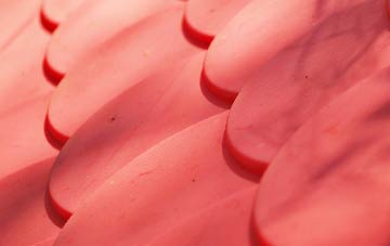 Stonely plastic roof costs