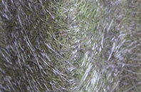 Stonely fibreglass roof work